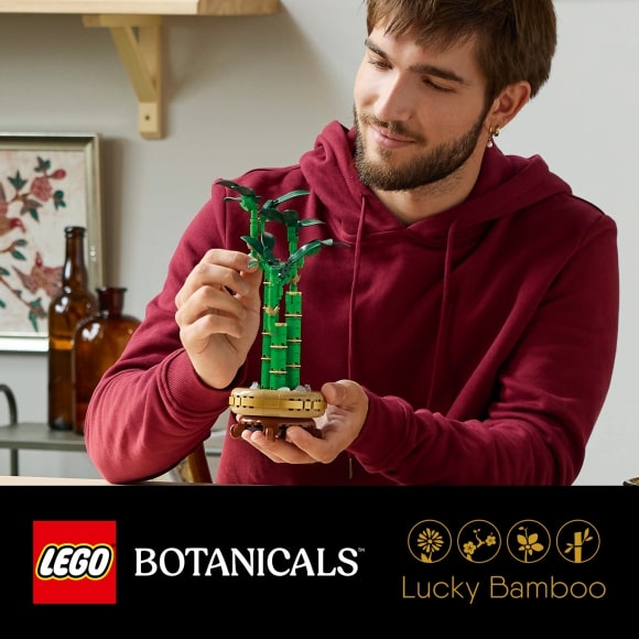 Купити конструктор LEGO Botanicals Бамбук щастя для віку 18