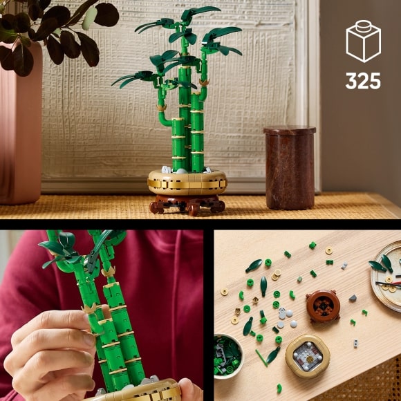 Набір конструктора LEGO Botanicals для віку від 16 років на 325