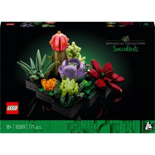 Конструктор LEGO Botanicals Сукуленти (10309)