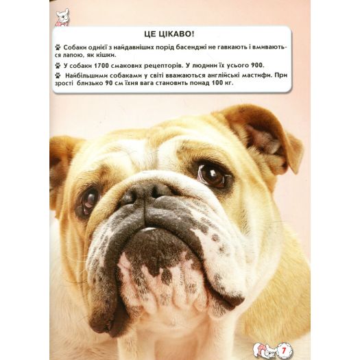 Придбати з вигодою Книга Кристал Бук Світ навколо нас. Собаки (F00021089)  в більш ніж 30 містах України